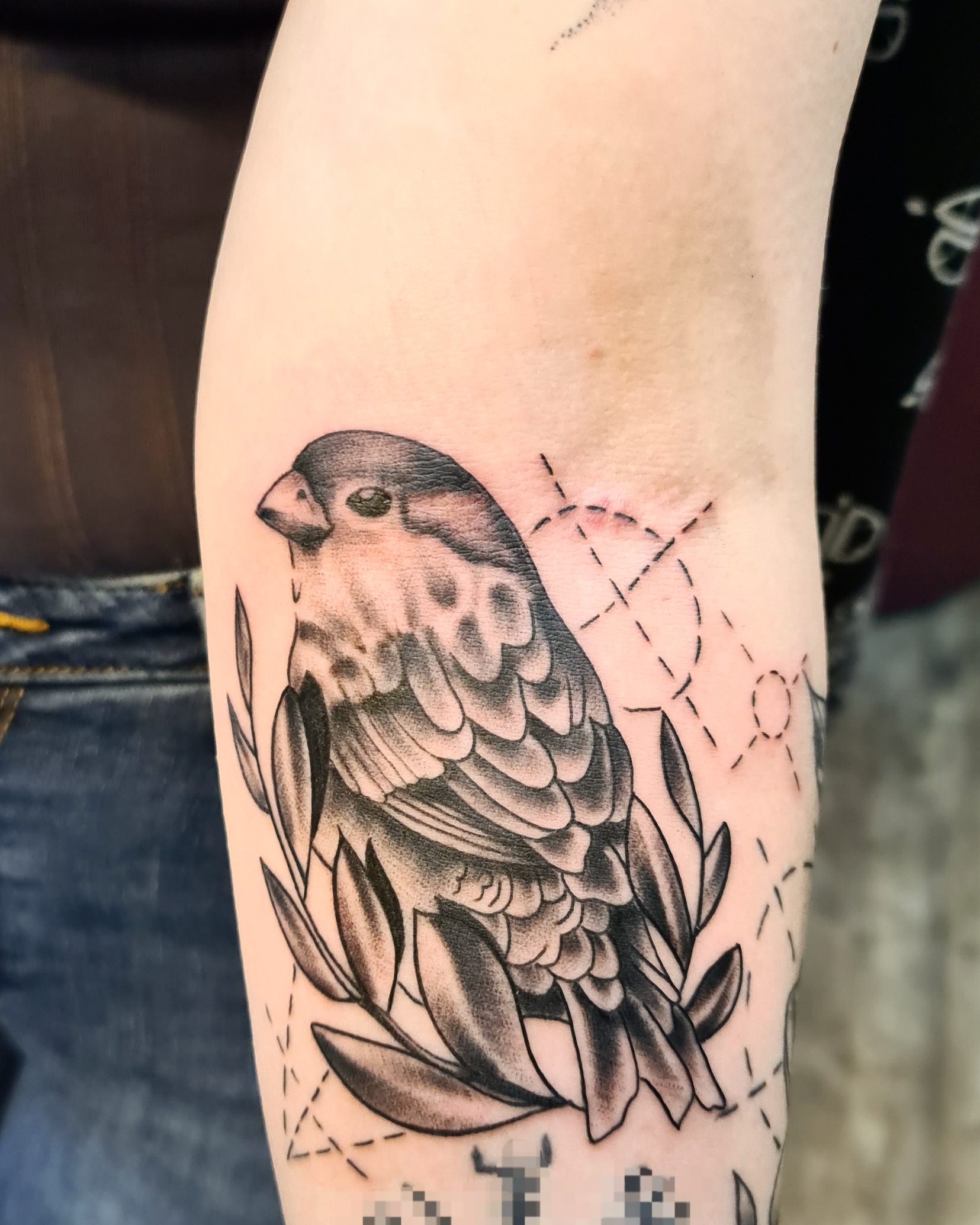 Frisch gestochenes Tattoo: Vogel auf einem Zweig in Black & Grey